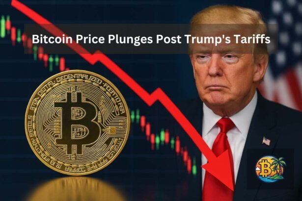 Bitcoin Price Nosedives as Trump’s Tariffs Shake Global Markets